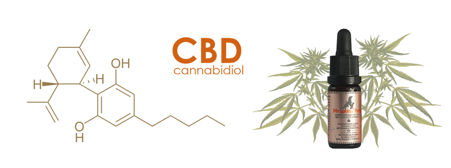 cannabidiol